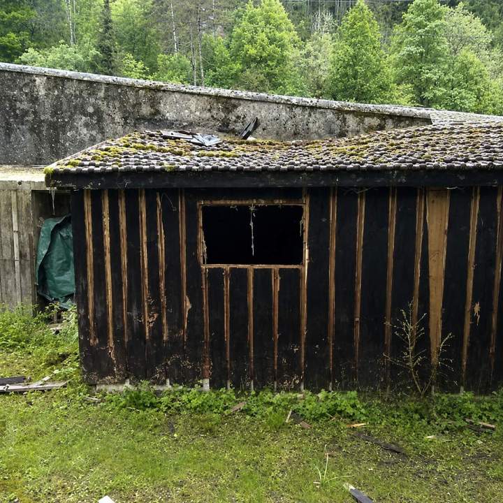 Démoussage Saint-Claude
